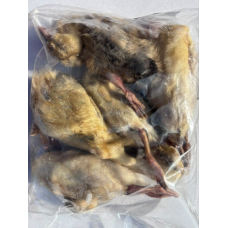 Ducklings - BAG of 10