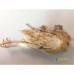 SMALL Quail (+/- 180gm) - Box of 35