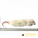 Large Weaner Rat - (60-90gm) - pack of 25