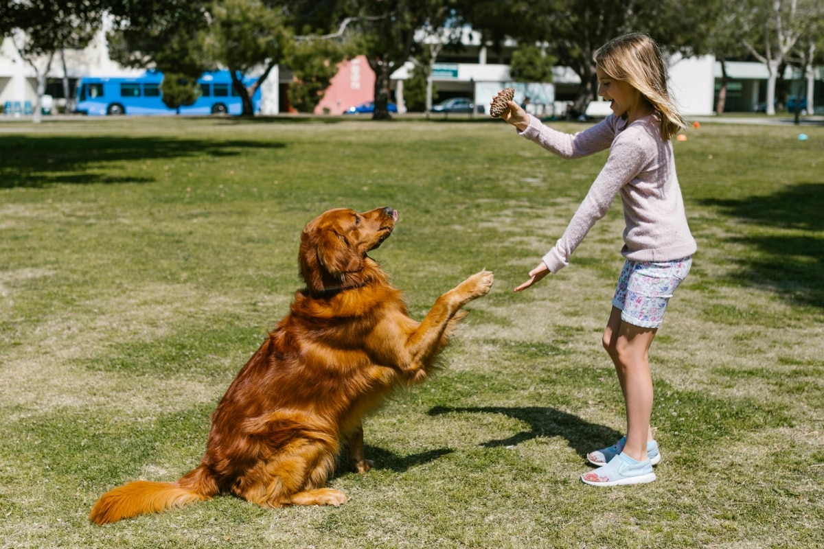 Which Dog Breeds Are Good With Children?
